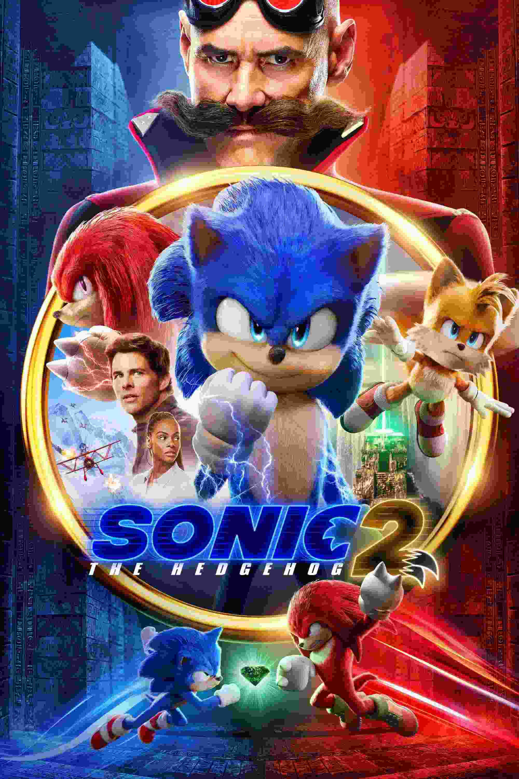 Nhím Sonic 2